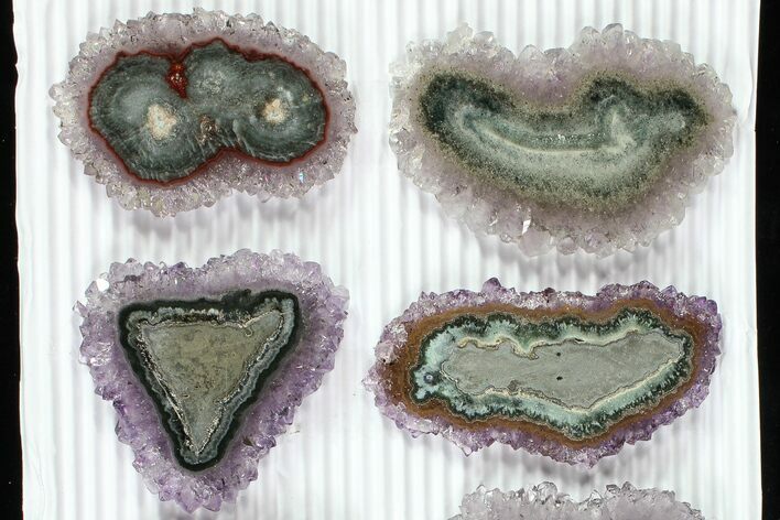 Lot: to Amethyst Stalactite Slices ( Pieces) #77695